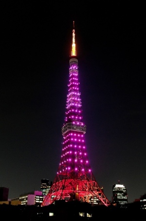 ライトアップ東京タワー オフィシャルホームページから拝借しました